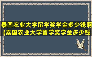 泰国农业大学留学奖学金多少钱啊(泰国农业大学留学奖学金多少钱一个月)