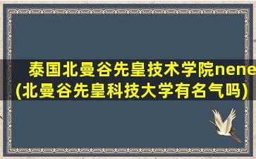 泰国北曼谷先皇技术学院nene(北曼谷先皇科技大学有名气吗)