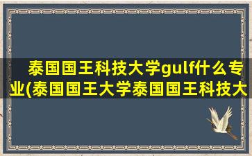 泰国国王科技大学gulf什么专业(泰国国王大学泰国国王科技大学学院)