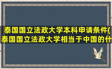 泰国国立法政大学本科申请条件(泰国国立法政大学相当于中国的什么大学)