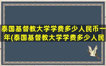 泰国基督教大学学费多少人民币一年(泰国基督教大学学费多少人民币一个月)