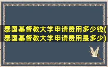 泰国基督教大学申请费用多少钱(泰国基督教大学申请费用是多少)