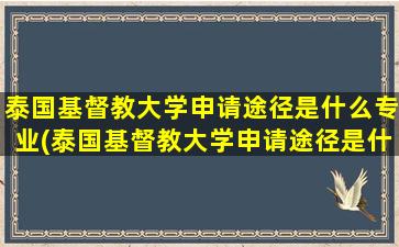 泰国基督教大学申请途径是什么专业(泰国基督教大学申请途径是什么呢)