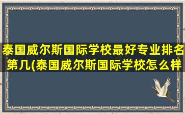 泰国威尔斯国际学校最好专业排名第几(泰国威尔斯国际学校怎么样)