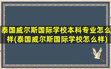 泰国威尔斯国际学校本科专业怎么样(泰国威尔斯国际学校怎么样)