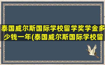 泰国威尔斯国际学校留学奖学金多少钱一年(泰国威尔斯国际学校留学奖学金多少钱一个月)