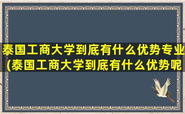 泰国工商大学到底有什么优势专业(泰国工商大学到底有什么优势呢)