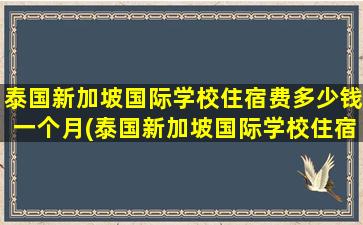 泰国新加坡国际学校住宿费多少钱一个月(泰国新加坡国际学校住宿费多少钱一天)