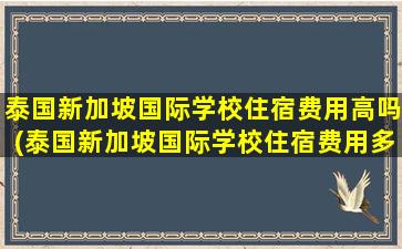 泰国新加坡国际学校住宿费用高吗(泰国新加坡国际学校住宿费用多少钱)