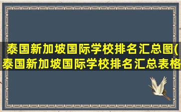 泰国新加坡国际学校排名汇总图(泰国新加坡国际学校排名汇总表格)