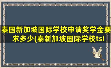 泰国新加坡国际学校申请奖学金要求多少(泰新加坡国际学校tsis)