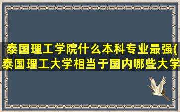 泰国理工学院什么本科专业最强(泰国理工大学相当于国内哪些大学)