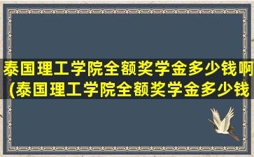 泰国理工学院全额奖学金多少钱啊(泰国理工学院全额奖学金多少钱一个月)