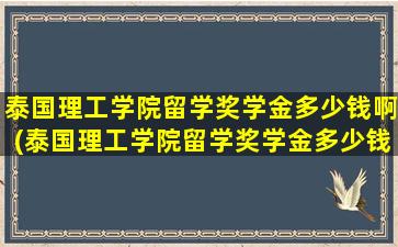 泰国理工学院留学奖学金多少钱啊(泰国理工学院留学奖学金多少钱一个月)