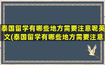 泰国留学有哪些地方需要注意呢英文(泰国留学有哪些地方需要注意呢知乎)