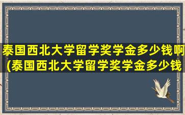 泰国西北大学留学奖学金多少钱啊(泰国西北大学留学奖学金多少钱一个月)