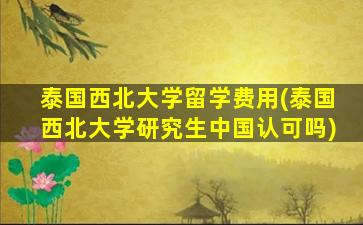 泰国西北大学留学费用(泰国西北大学研究生中国认可吗)