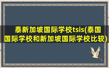 泰新加坡国际学校tsis(泰国国际学校和新加坡国际学校比较)