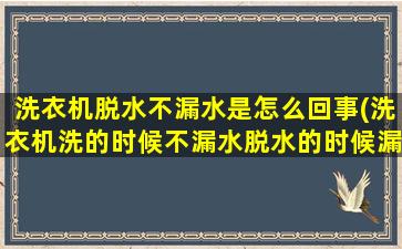 洗衣机脱水不漏水是怎么回事(洗衣机洗的时候不漏水脱水的时候漏水)