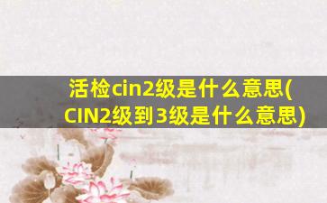 活检cin2级是什么意思(CIN2级到3级是什么意思)