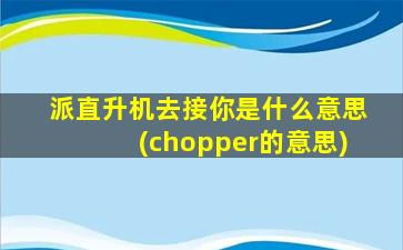 派直升机去接你是什么意思(chopper的意思)