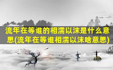 流年在等谁的相濡以沫是什么意思(流年在等谁相濡以沫啥意思)