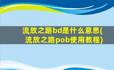 流放之路bd是什么意思(流放之路pob使用教程)