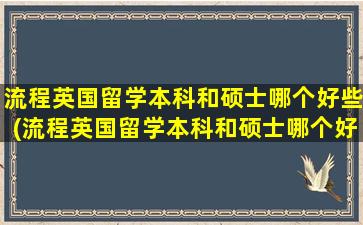 流程英国留学本科和硕士哪个好些(流程英国留学本科和硕士哪个好)