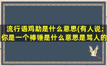 流行语鸡助是什么意思(有人说;你是一个棒锤是什么意思是骂人的话吗)