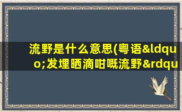 流野是什么意思(粤语“发埋晒滴咁嘅流野”里面的“流”是什么意思)