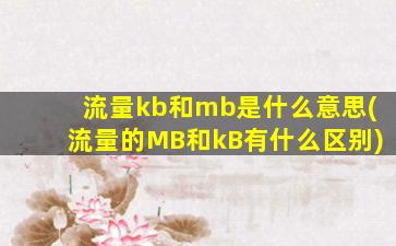 流量kb和mb是什么意思(流量的MB和kB有什么区别)