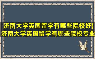 济南大学英国留学有哪些院校好(济南大学英国留学有哪些院校专业)