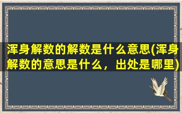 浑身解数的解数是什么意思(浑身解数的意思是什么，出处是哪里)