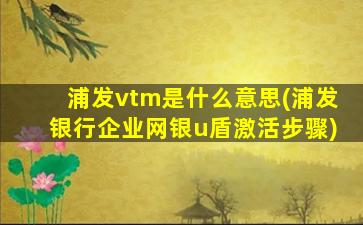 浦发vtm是什么意思(浦发银行企业网银u盾激活步骤)