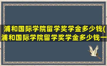 浦和国际学院留学奖学金多少钱(浦和国际学院留学奖学金多少钱一个月)