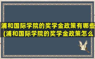 浦和国际学院的奖学金政策有哪些(浦和国际学院的奖学金政策怎么样)