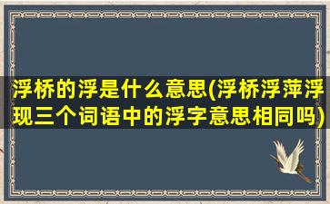 浮桥的浮是什么意思(浮桥浮萍浮现三个词语中的浮字意思相同吗)