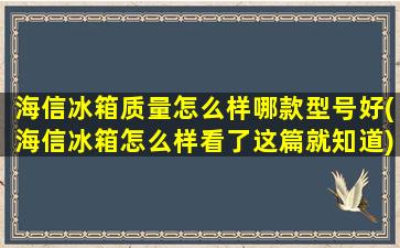 海信冰箱质量怎么样哪款型号好(海信冰箱怎么样看了这篇就知道)