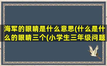 海军的眼睛是什么意思(什么是什么的眼睛三个(小学生三年级问题)