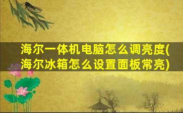 海尔一体机电脑怎么调亮度(海尔冰箱怎么设置面板常亮)