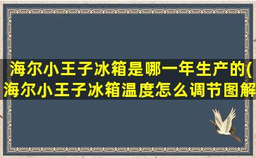 海尔小王子冰箱是哪一年生产的(海尔小王子冰箱温度怎么调节图解)