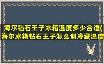 海尔钻石王子冰箱温度多少合适(海尔冰箱钻石王子怎么调冷藏温度和冷冻温度)