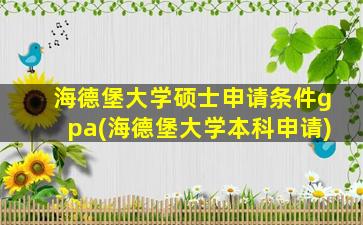 海德堡大学硕士申请条件gpa(海德堡大学本科申请)