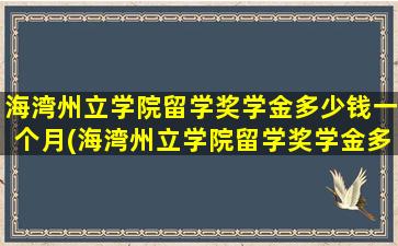 海湾州立学院留学奖学金多少钱一个月(海湾州立学院留学奖学金多少钱啊)