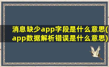 消息缺少app字段是什么意思(app数据解析错误是什么意思)