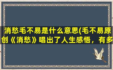 消愁毛不易是什么意思(毛不易原创《消愁》唱出了人生感悟，有多少人被歌词)