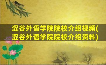 涩谷外语学院院校介绍视频(涩谷外语学院院校介绍资料)