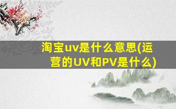 淘宝uv是什么意思(运营的UV和PV是什么)