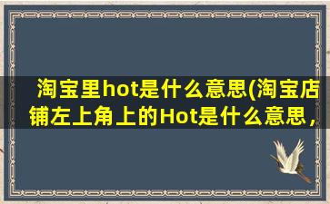 淘宝里hot是什么意思(淘宝店铺左上角上的Hot是什么意思，哪位好心的网友能说说，谢谢)