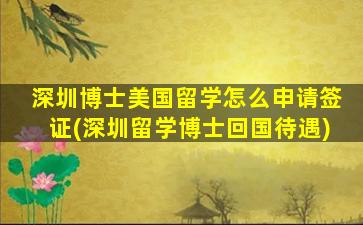 深圳博士美国留学怎么申请签证(深圳留学博士回国待遇)